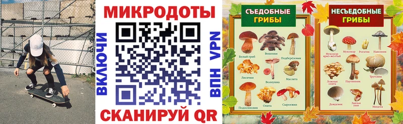 Псилоцибиновые грибы MAGIC MUSHROOMS  купить наркоту  Миньяр 